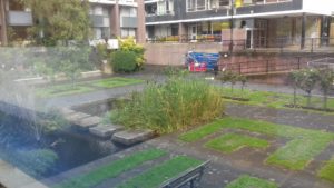 golden lane estate