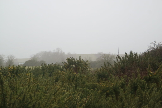 silo bunkers behind gorse