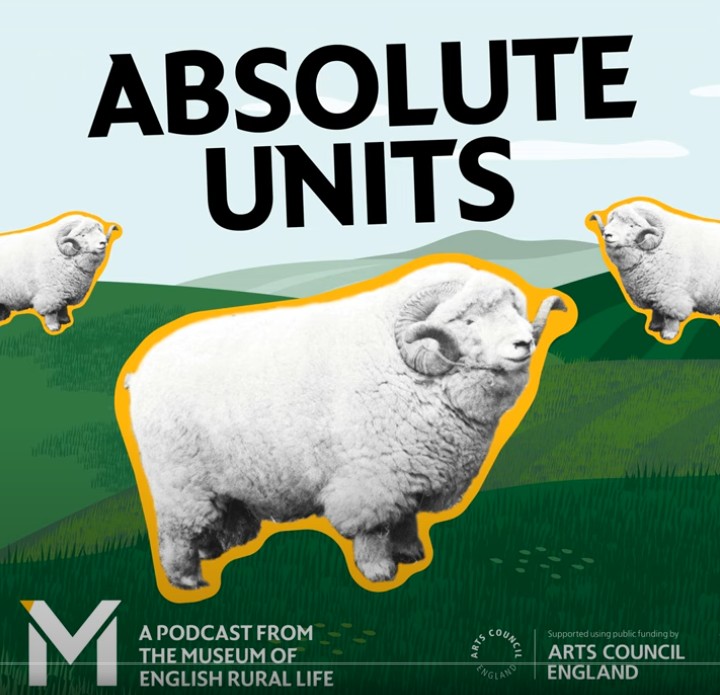 MERL “Absolute Units” podcast