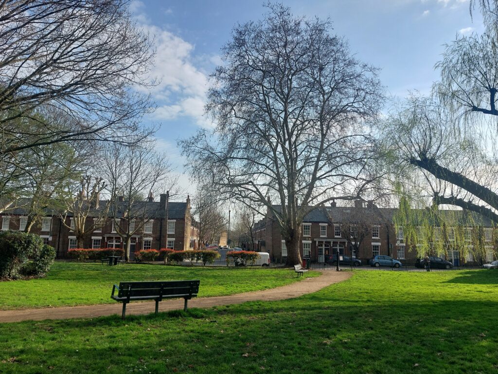park path with bench and trees
